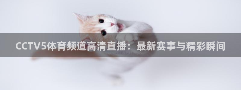 新闻图片