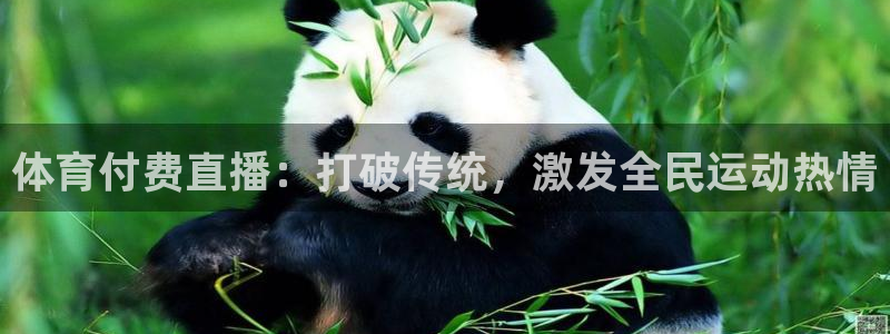体育付费直播：打破传统，激发全民运动热情