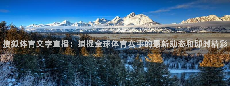 搜狐体育文字直播：捕捉全球体育赛事的最新动态和即时精彩