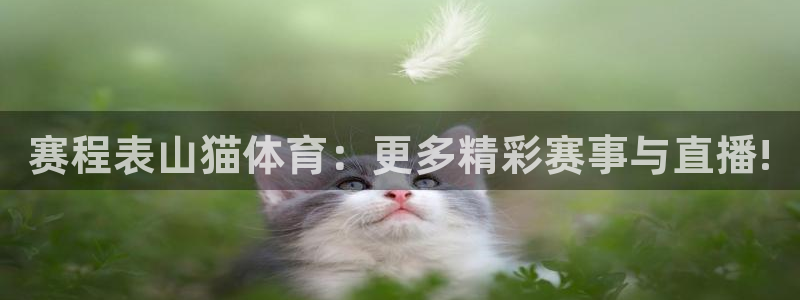 赛程表山猫体育：更多精彩赛事与直播!