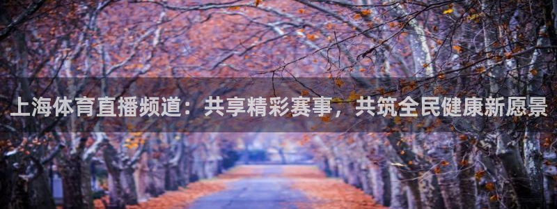 上海体育直播频道：共享精彩赛事，共筑全民健康新愿景