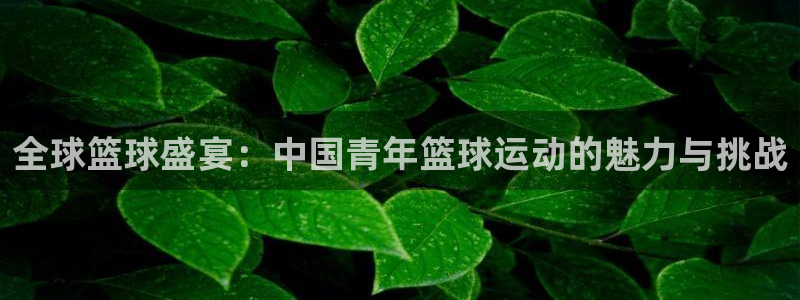 全球篮球盛宴：中国青年篮球运动的魅力与挑战