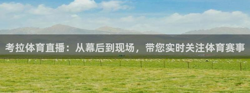 考拉体育直播：从幕后到现场，带您实时关注体育赛事