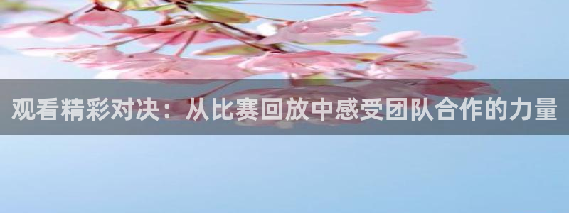 观看精彩对决：从比赛回放中感受团队合作的力量